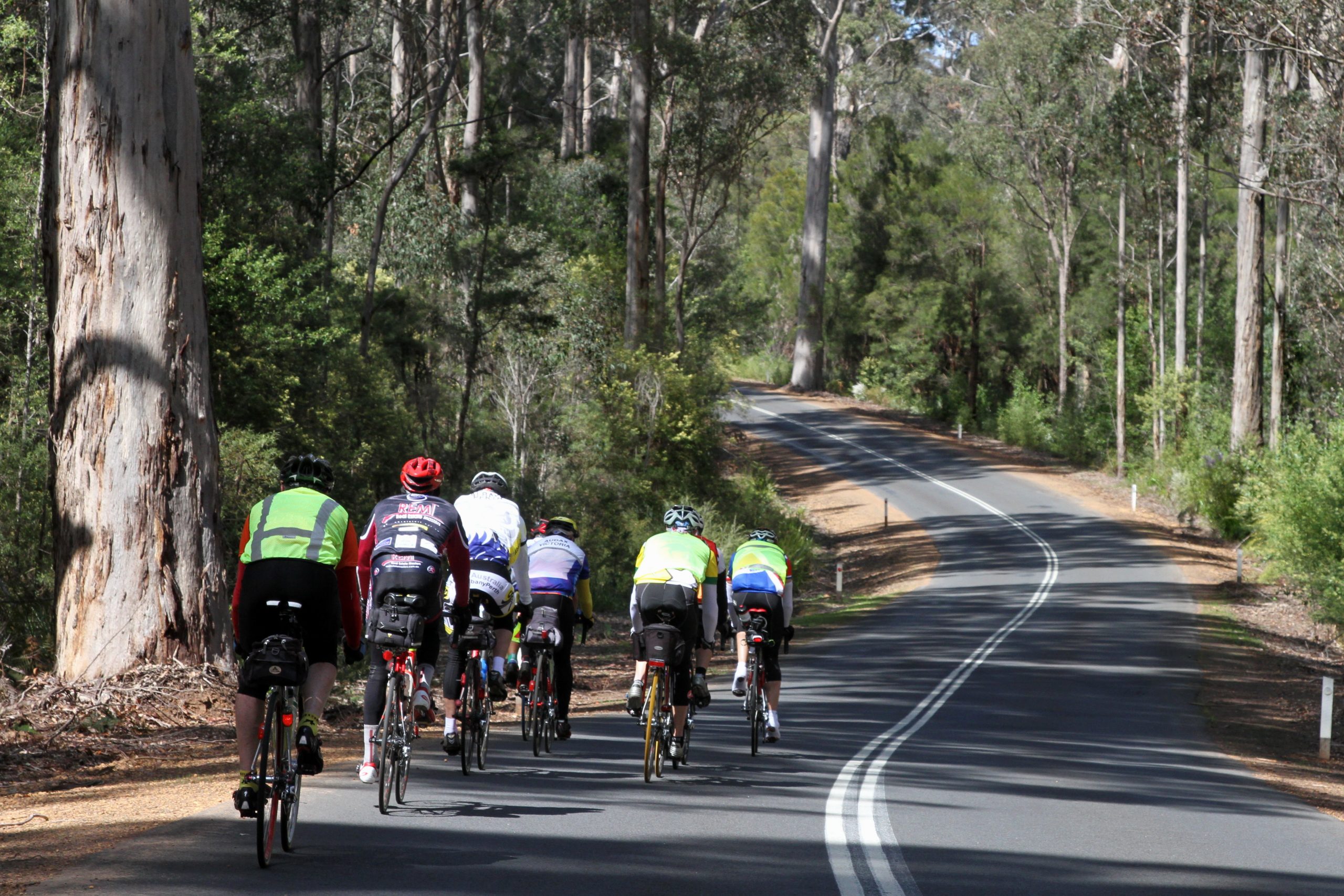 Audax Theme