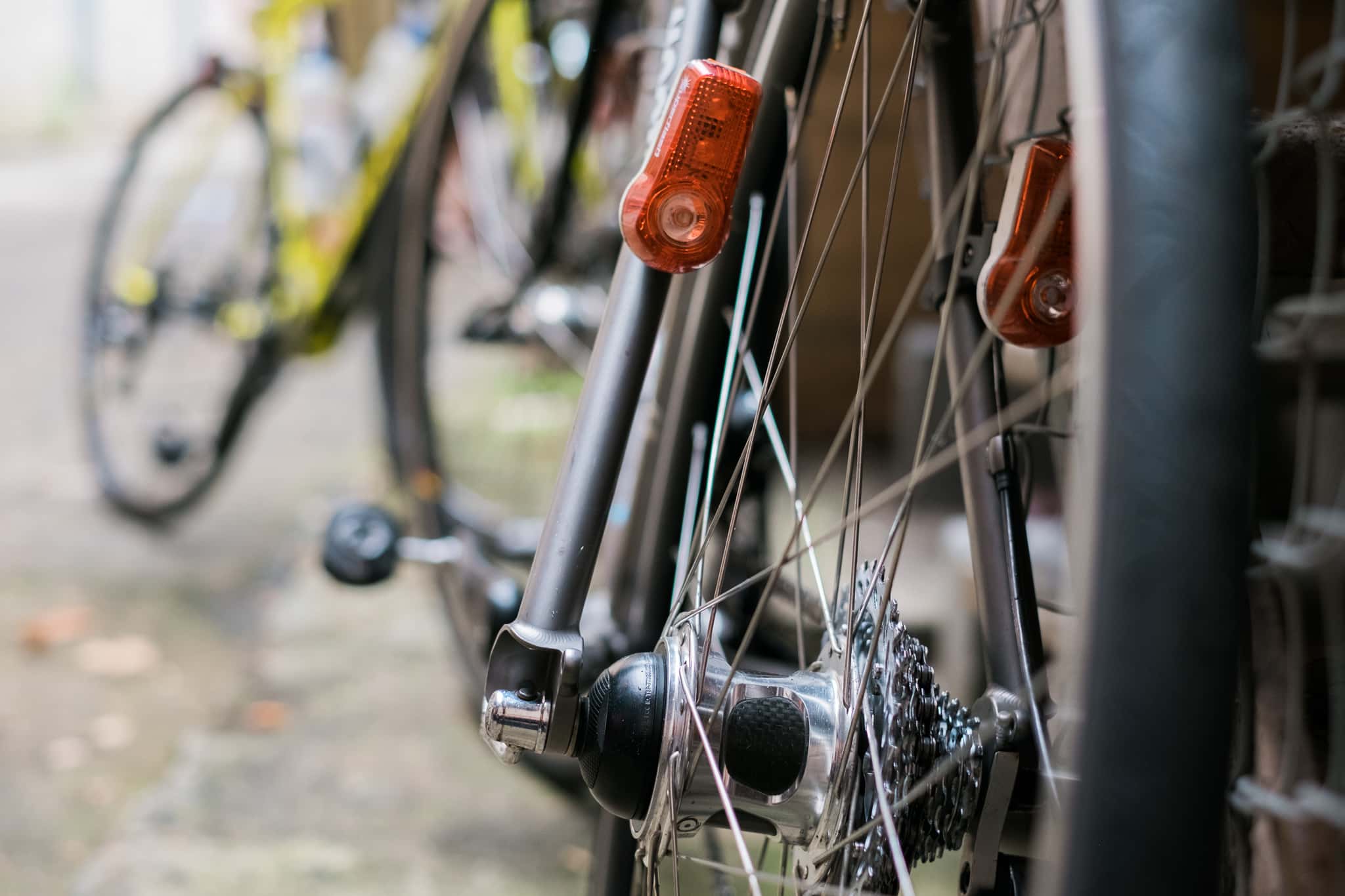 Audax Theme