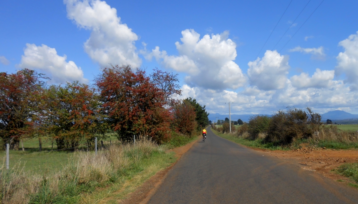Tasmania North Hadspen Area