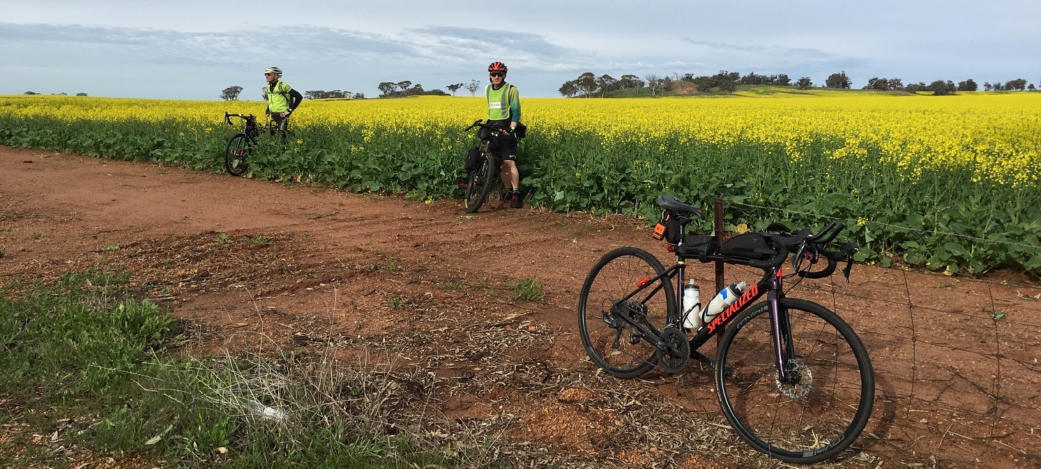 Audax Theme