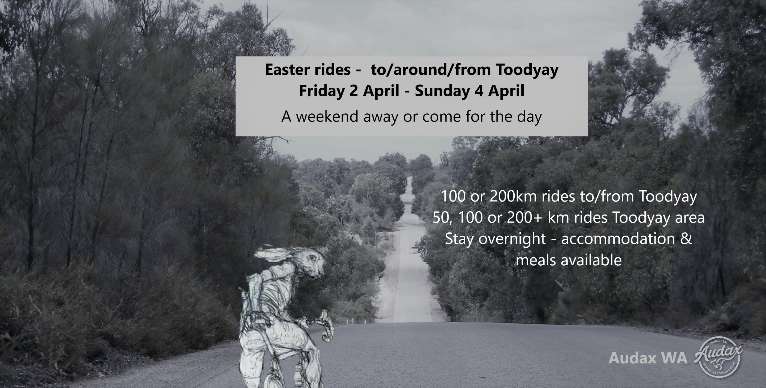 Audax Theme