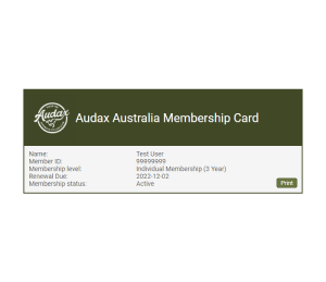Audax Theme