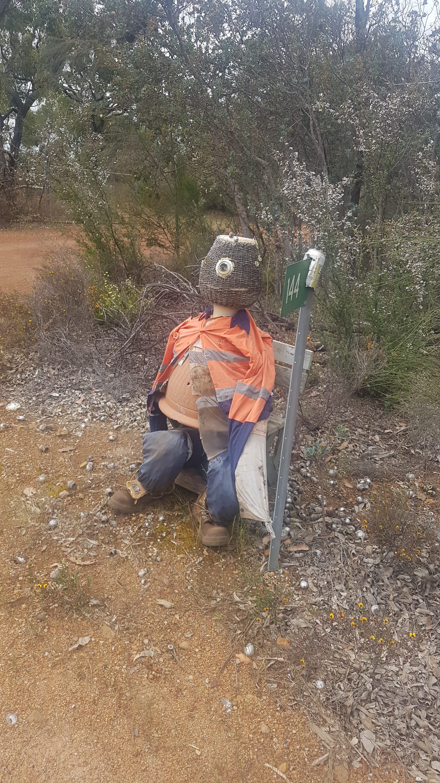 Bob Sandplain