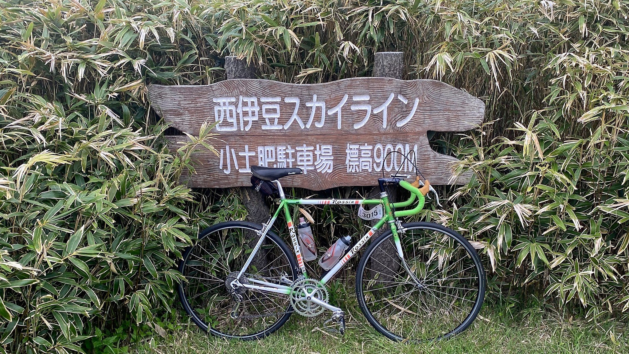 Audax Theme